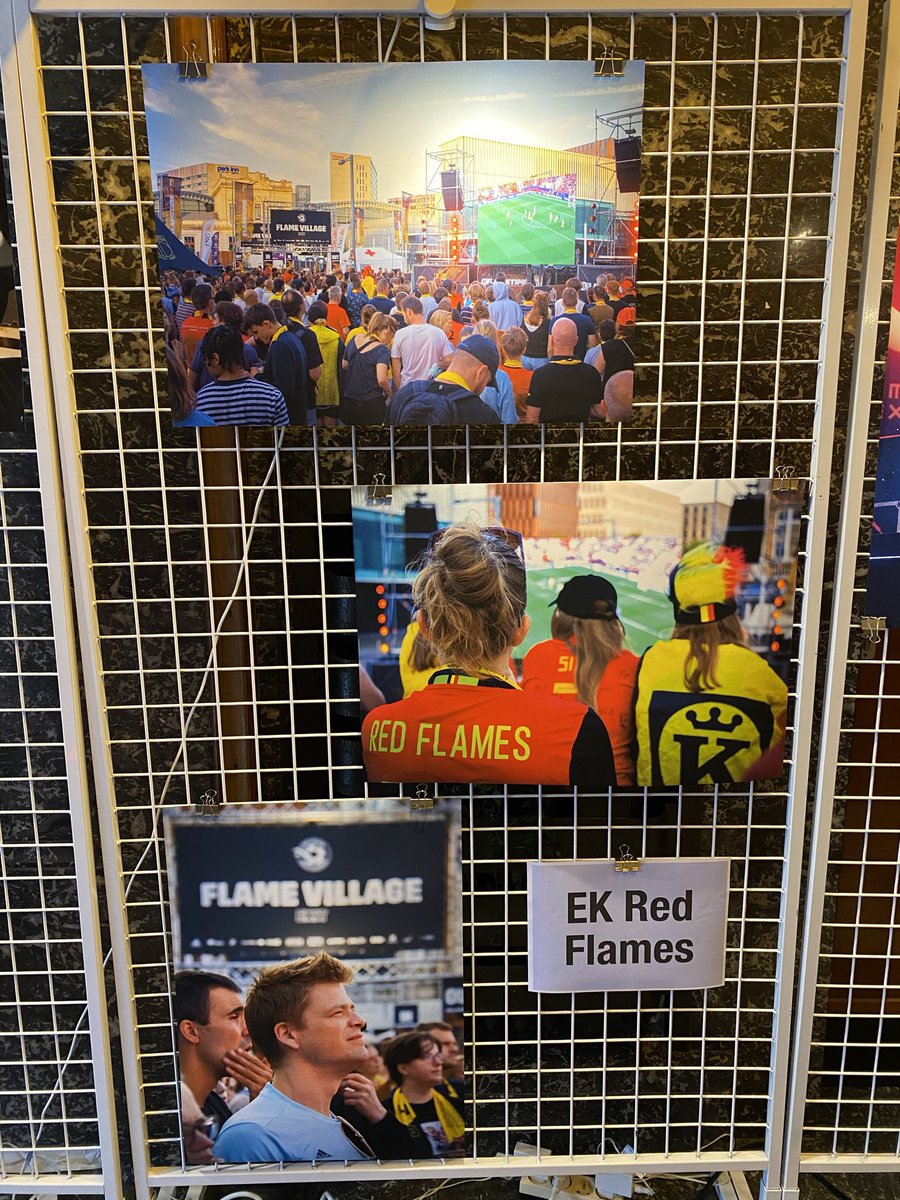 Wat een geweldige zomer was dat man! Merci MIJNLEUVEN om mij in te schakelen als fotograaf! Mijn foto’s hangen nu in het stadhuis van Leuven! Ga zeker eens een kijkje nemen als je tijd zou hebben :))