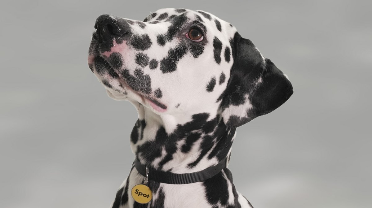 Ideas Group tweet media