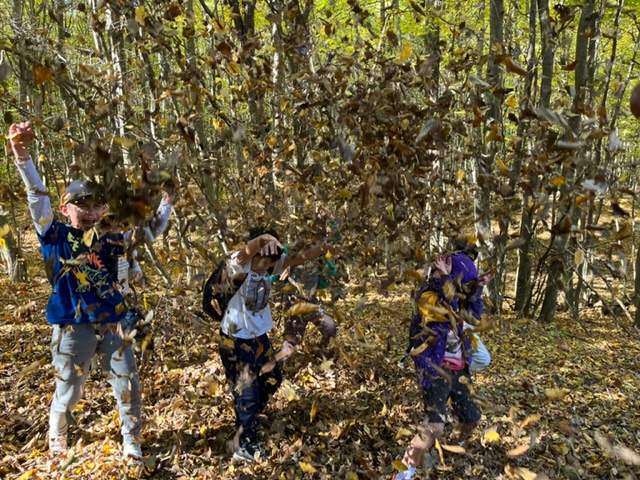 GDolesch's tweet image. Inquiring into how insects and animals are preparing for winter. Celebrating Gr. 2 Outdoor Learning 🍃🍂🍃🍂@aisbudapest #Outdoorlearning