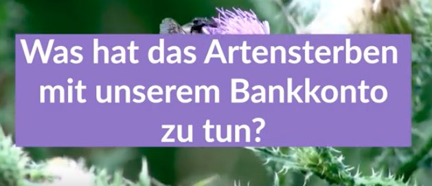 Wie nachhaltige Geldanlagen unsere Wirtschaft retten können #klimaschlau nachgehakt – Wohin mit deinem Geld - wenn der Finanzmarkt zum 🐝 🦋💀Artensterben 🐝 🦋💀beiträgt? Das fragen wir Susanne Bergius. futureleaf.space/videos/