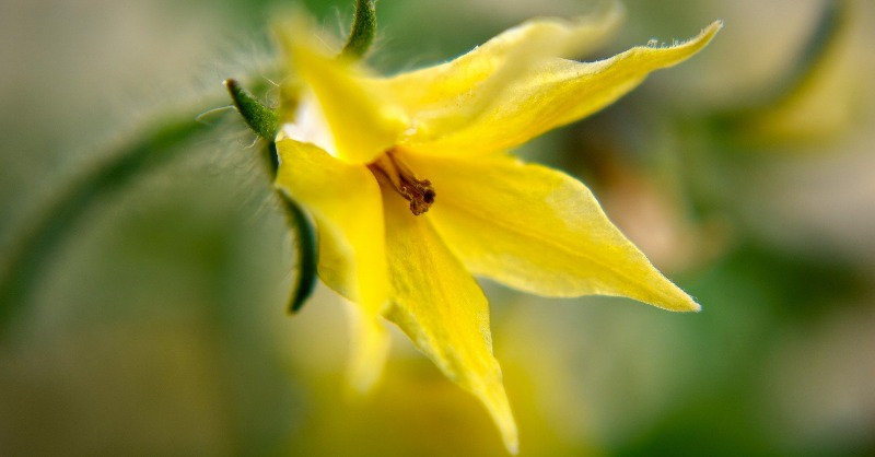 BASF Agro España tweet media