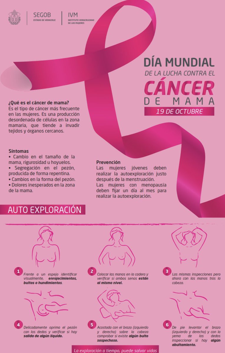 anaislopez23's tweet photo. Hoy es el #DiaMundialDelCancerDeMama y debemos proteger la investigación, la prevención y la sanidad pública.

También debemos luchar por más atención psicológica para las pacientes. El cáncer destruye mucho más que el cuerpo.

Por las que se fueron y por las que están. https://t.co/eqSJGuYQBy