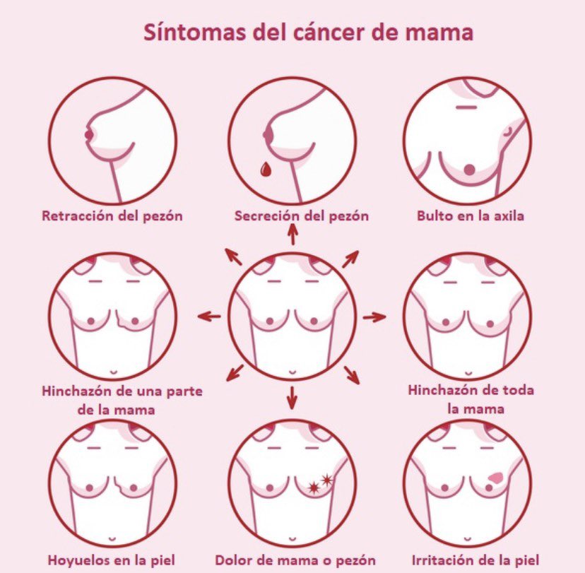 Bio_Press's tweet photo. El 19 de octubre de cada año se conmemora el Día Internacional de lucha contra el Cáncer de mama.
Desde BioPress nos sumamos a la causa y os mostramos cuáles son sus posibles síntomas.
#biopress #díacontraelcáncerdemama https://t.co/PNyXlOfi1H