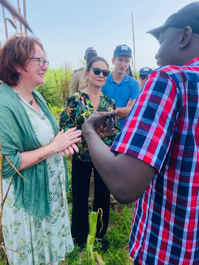 La délégation de la Norvège à la découverte des champs de mil des jeunes producteurs ruraux de Niakhar dans la région de Fatick au #Senegal . @leFIDA @BjorgSandkjaer @WConnectFarmers