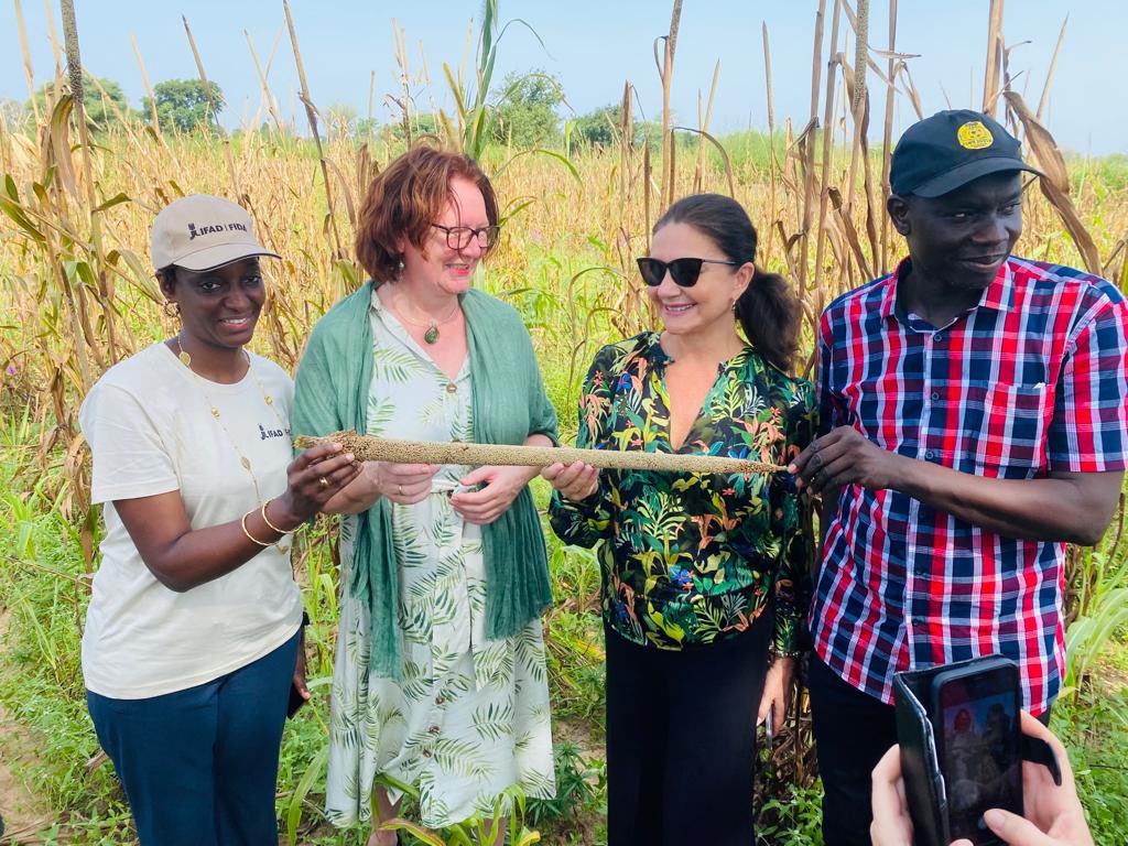 FIDAfriqueOuest's tweet photo. La délégation de la Norvège à la découverte des champs de mil des jeunes producteurs ruraux de Niakhar dans la région de Fatick au #Senegal . @leFIDA @BjorgSandkjaer @WConnectFarmers https://t.co/PpIkGJi9jc