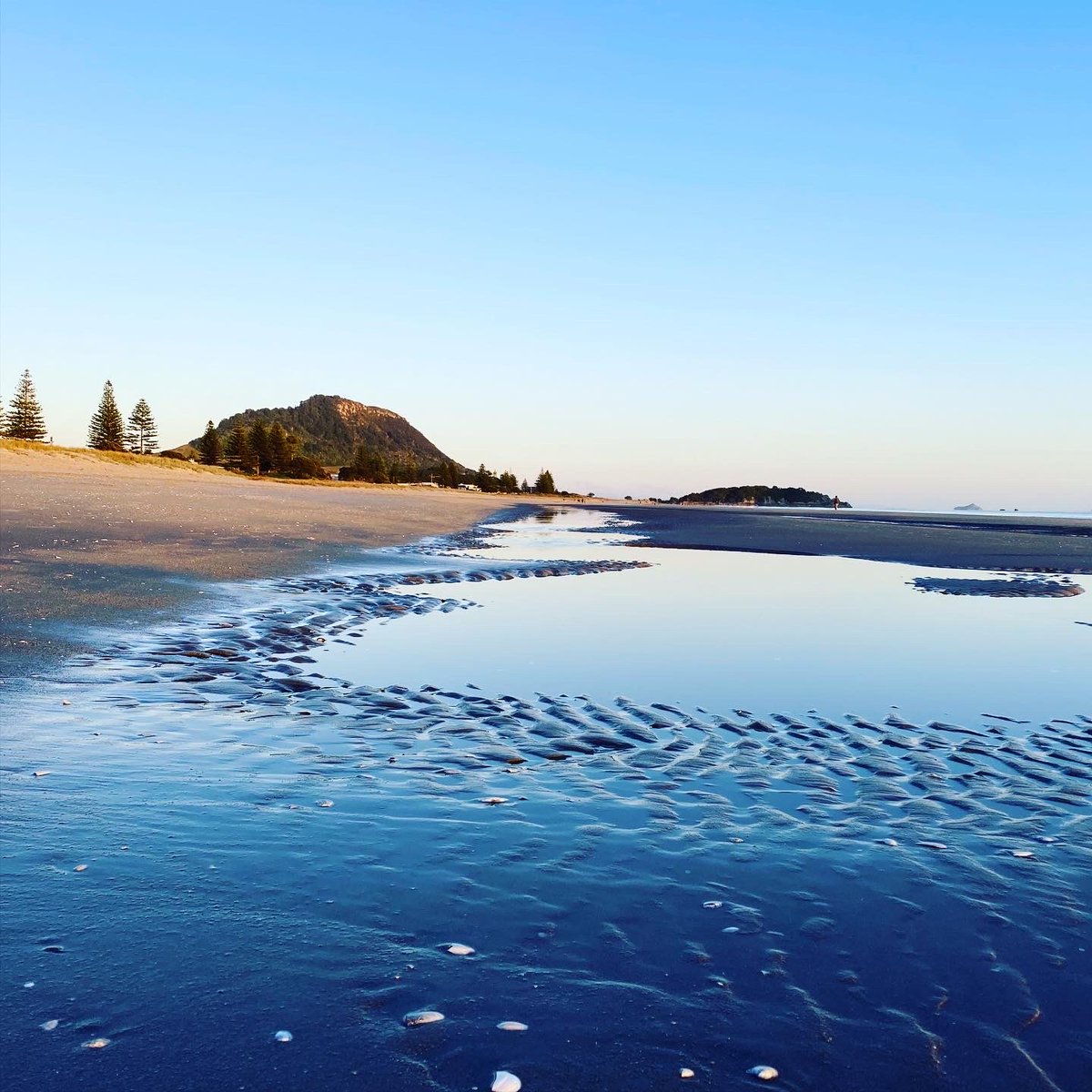 drmglaw9's tweet photo. Te whenua, te moana, te maunga ….. TE TAIOA, sustains my wairua, tinana me hinengaro #RANZCPComp @RANZCP mauri ora! https://t.co/Qp0xS1Bocm