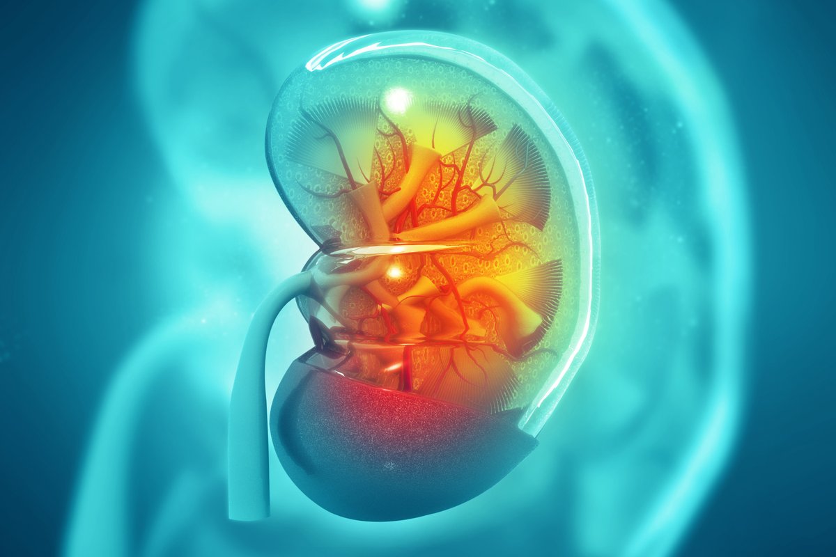 Manideep_IARC's tweet photo. #Urolithiasis Management Devices Market size was valued at $1.4 billion in 2020, and is expected to grow with a CAGR of 4.3% during the forecast period 2021-2026.

For More: https://t.co/EXF9ejRNJT

#Hospitals #Clinics #Surgical #Lithotripsy #Treatments #healthcare #IndustryARC https://t.co/PysYUbKgDd