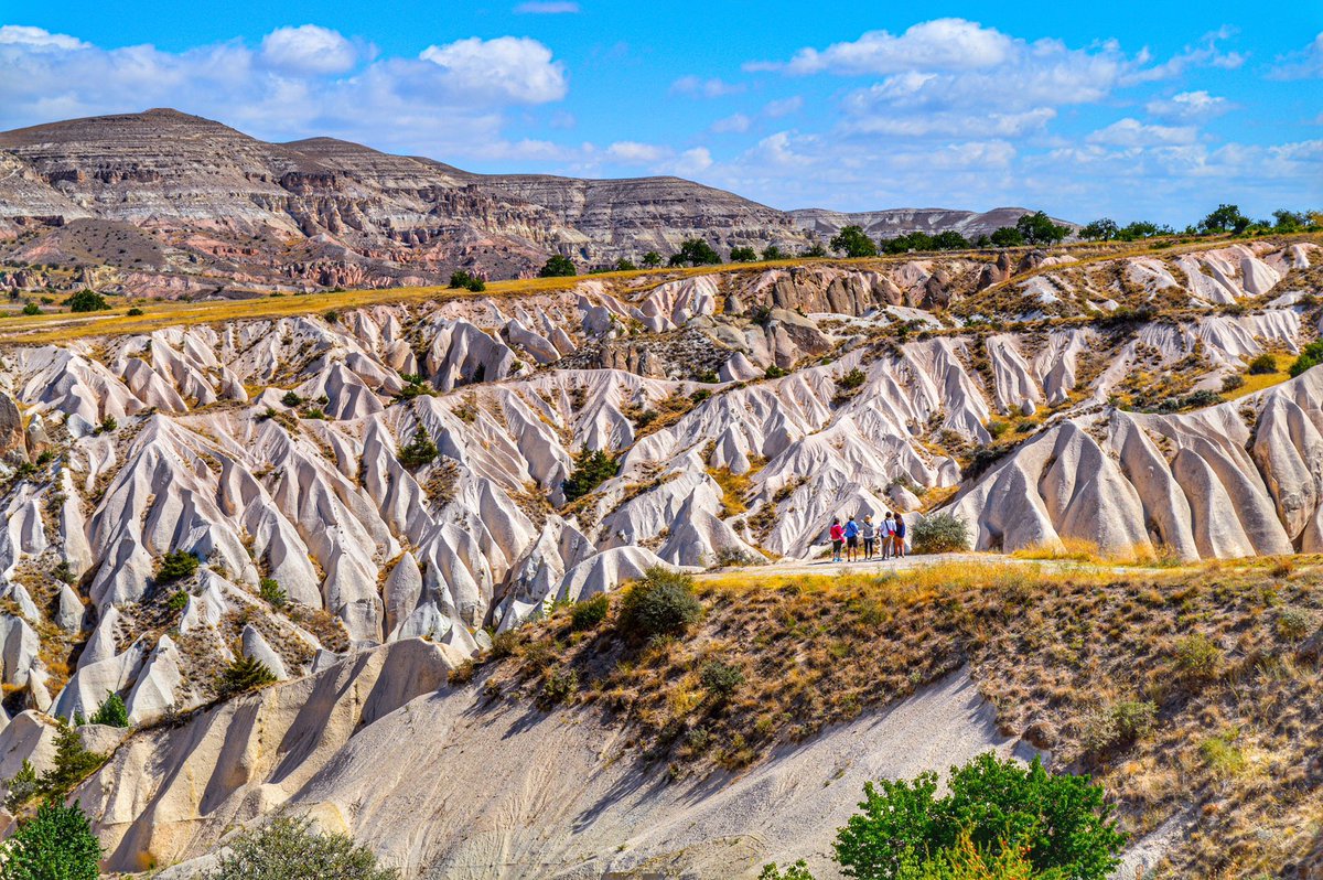 Artvisionᴺᶠᵀ tweet media