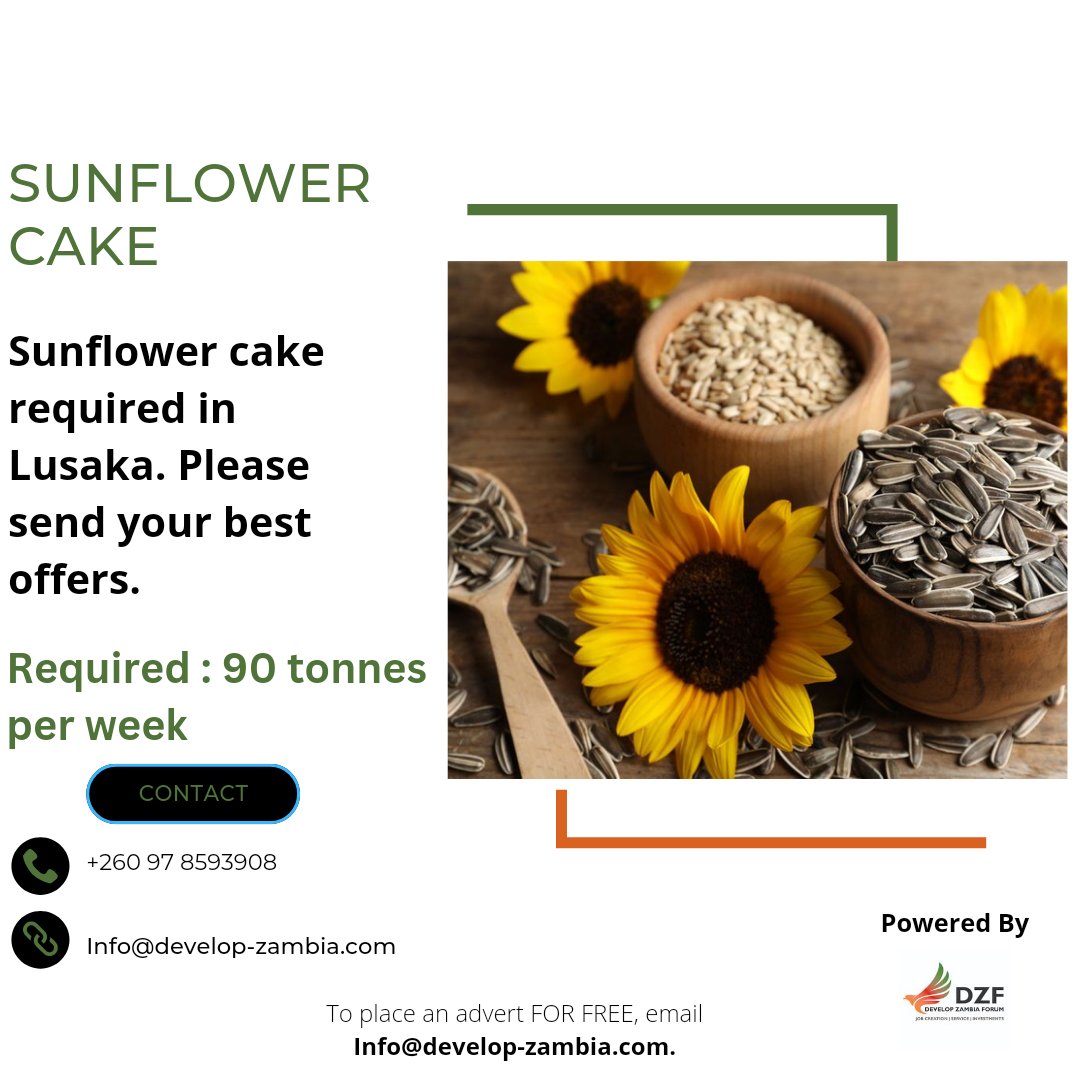 DevelopZForum's tweet photo. Sunflower Cake Required :

90 tons per week in Lusaka. Please send your best offers.

For details, contact – 097 8593908 or
Email - Info@develop-zambia.com 

#advertising #advertisements #dzf #dzfupdates

To place an advert with #DZF for free, email Info@develop-zambia.com https://t.co/UDUDA3LQu9