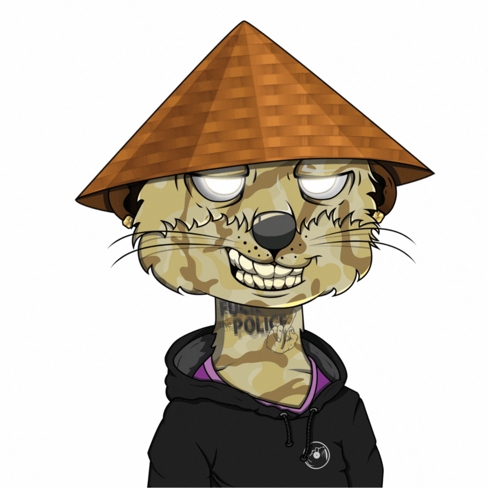 LisaB94's tweet photo. @jpegstrader Great new #CNFT project which personally I love!! 

@meerkat_mob - they plan to dox before mint, have some really fun community games and love causing mischief

Also... meerkats! #MeerkatMob https://t.co/FlInxEfhbY