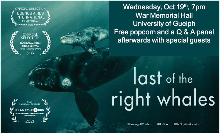 We are at a crises moment, with 330 remaining, the North Atlantic Right Whale could be extinct soon. Tonight, <a href="/IntUGrativeBiol/">Integrative Biology</a> &amp; the Hagen Aqualab @UofG present the award winning documentary @LastRightWhales with a panel discussion to follow. Open to all, 7pm in War Memorial Hall