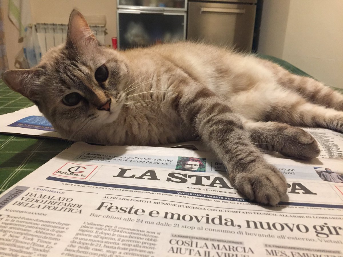 Eleonora Cesareo tweet media