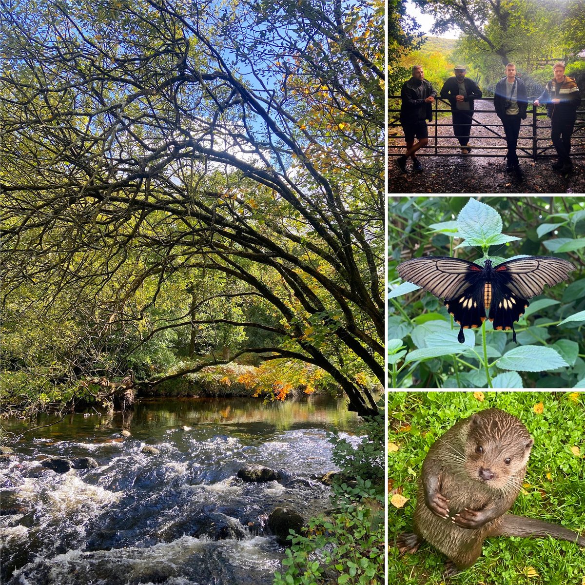 DriveStudio's tweet image. Fantastic team day out exploring our beautiful surroundings in typical Devon weather – glorious sunshine and sudden torrential downpours. We had a legendary lunch break at The Rugglestone Inn, Widecombe, complete with simply the BEST treacle tart!
#teamwork #dartmoor
