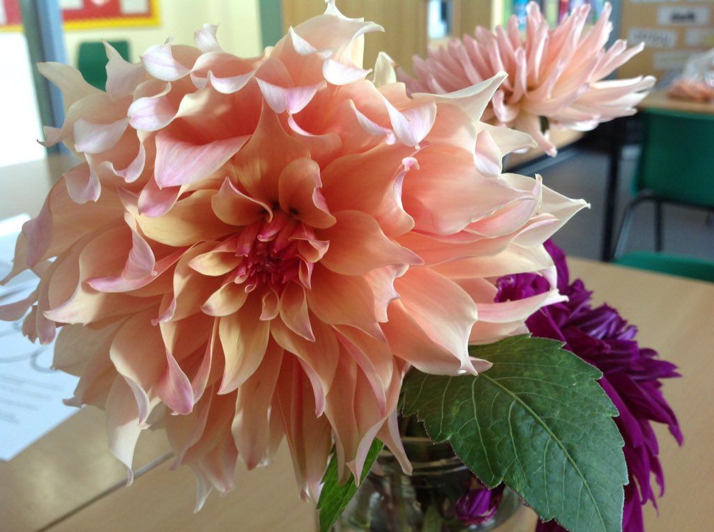 We'd also like to thank George and James' Mum for sending in some beautiful flowers from the garden to make our wedding even more beautiful.