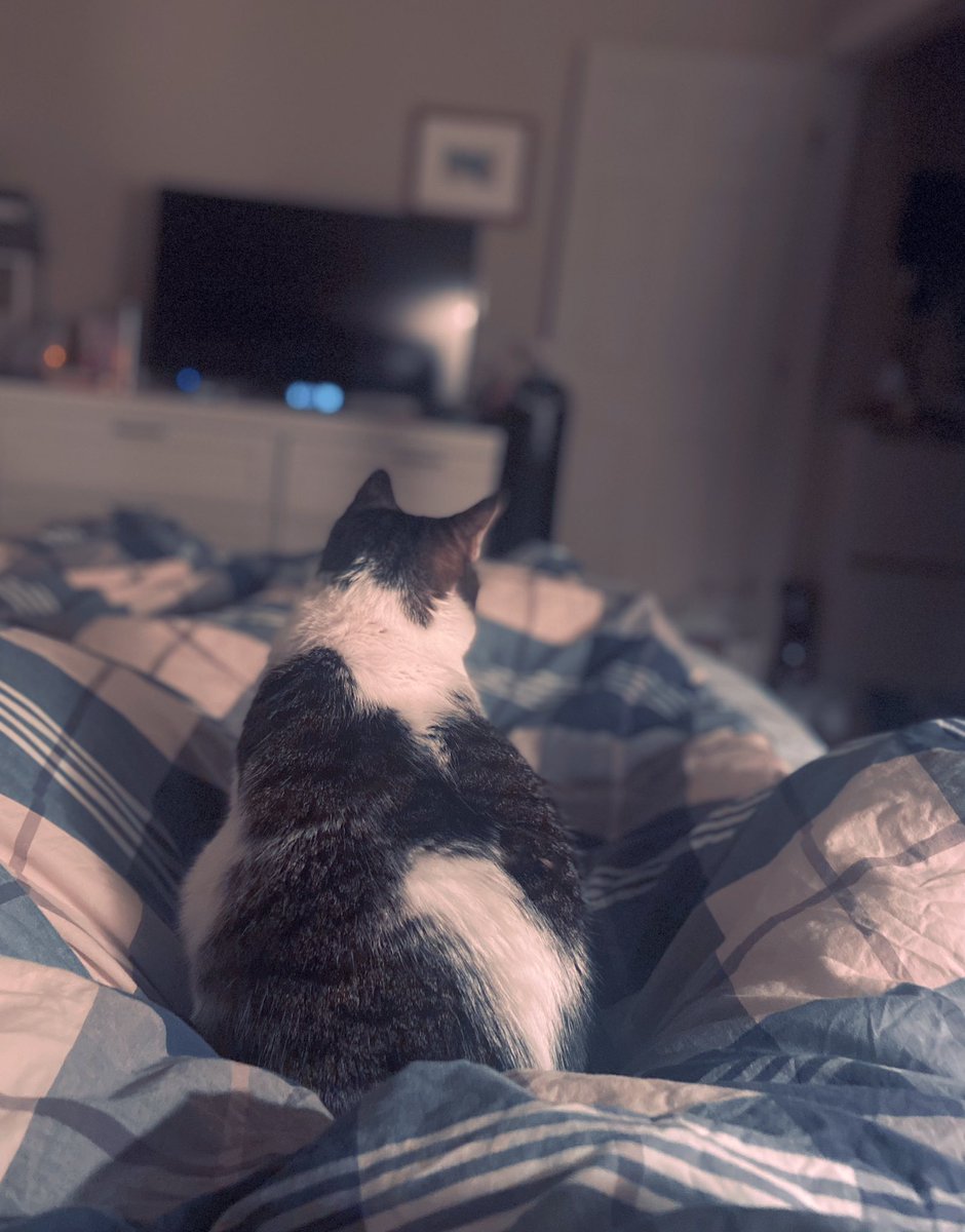 Blanca Rodríguez, PhD tweet media