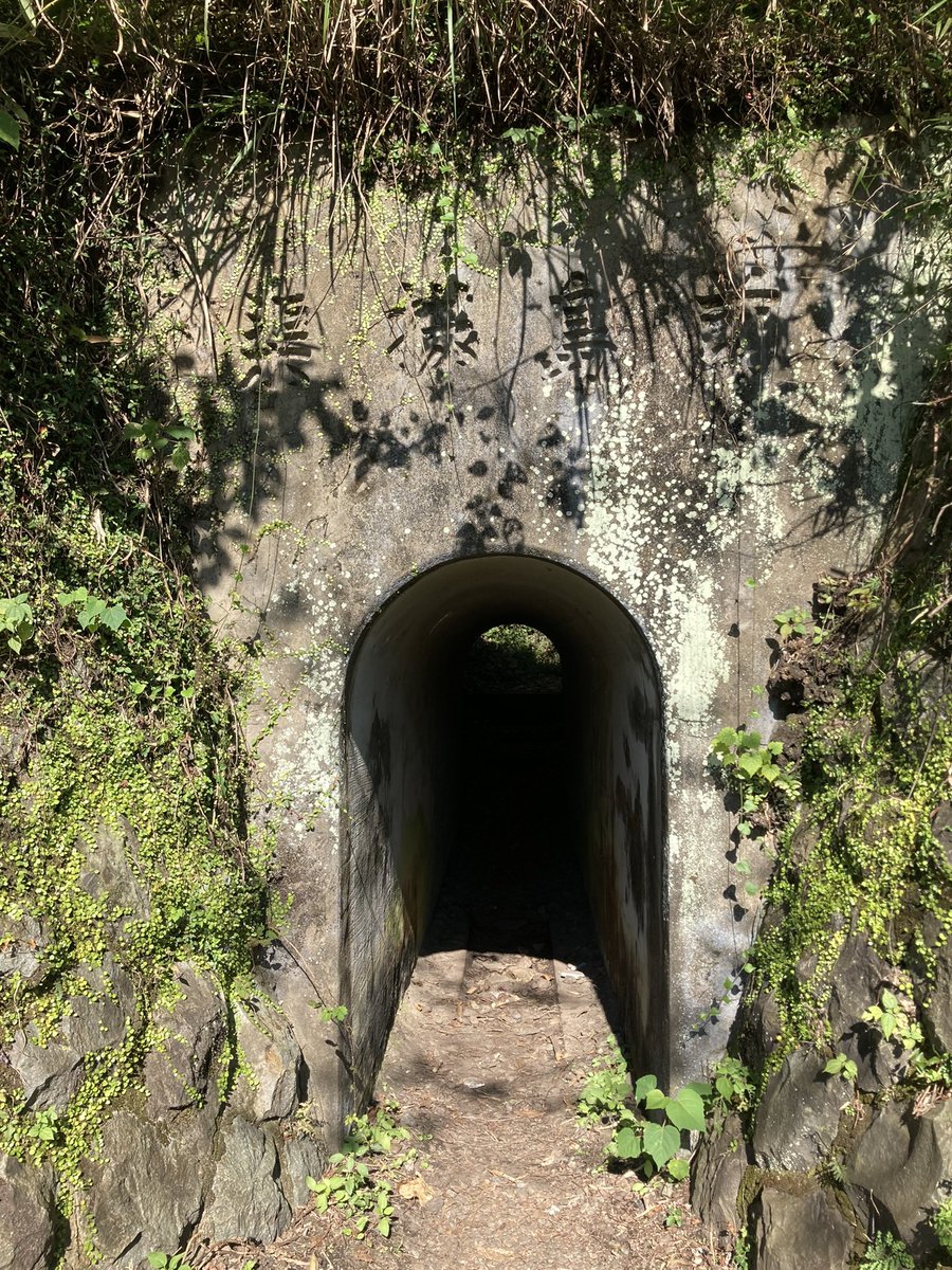 ejae_00's tweet photo. 10/15 岐阜のｸﾞﾗﾝﾄﾞｷｬﾆｵﾝ遠見山！ https://t.co/63sStV4bX4