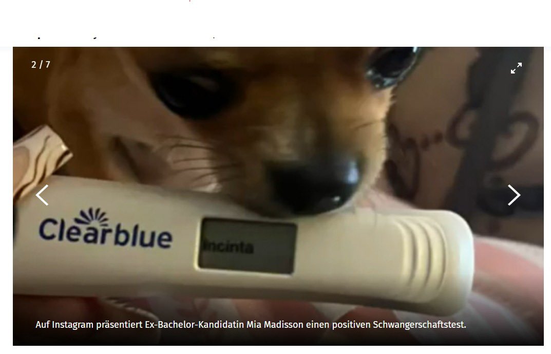 pascalmathis77's tweet photo. Braucht noch grad jemand eine Bild-Text-Schere?  Bedient euch.

(Die Meriten gehen an https://t.co/0iXZyjgwzx) https://t.co/sDoWu87WE8
