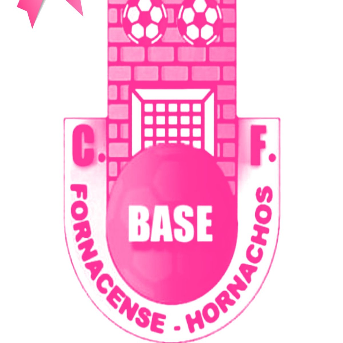 El día 19 de octubre se celebra el Día Internacional de la lucha contra el Cáncer de Mama, en el CF Base Fornacense estamos con ellas. Salud y mucho ánimo.🤍💙