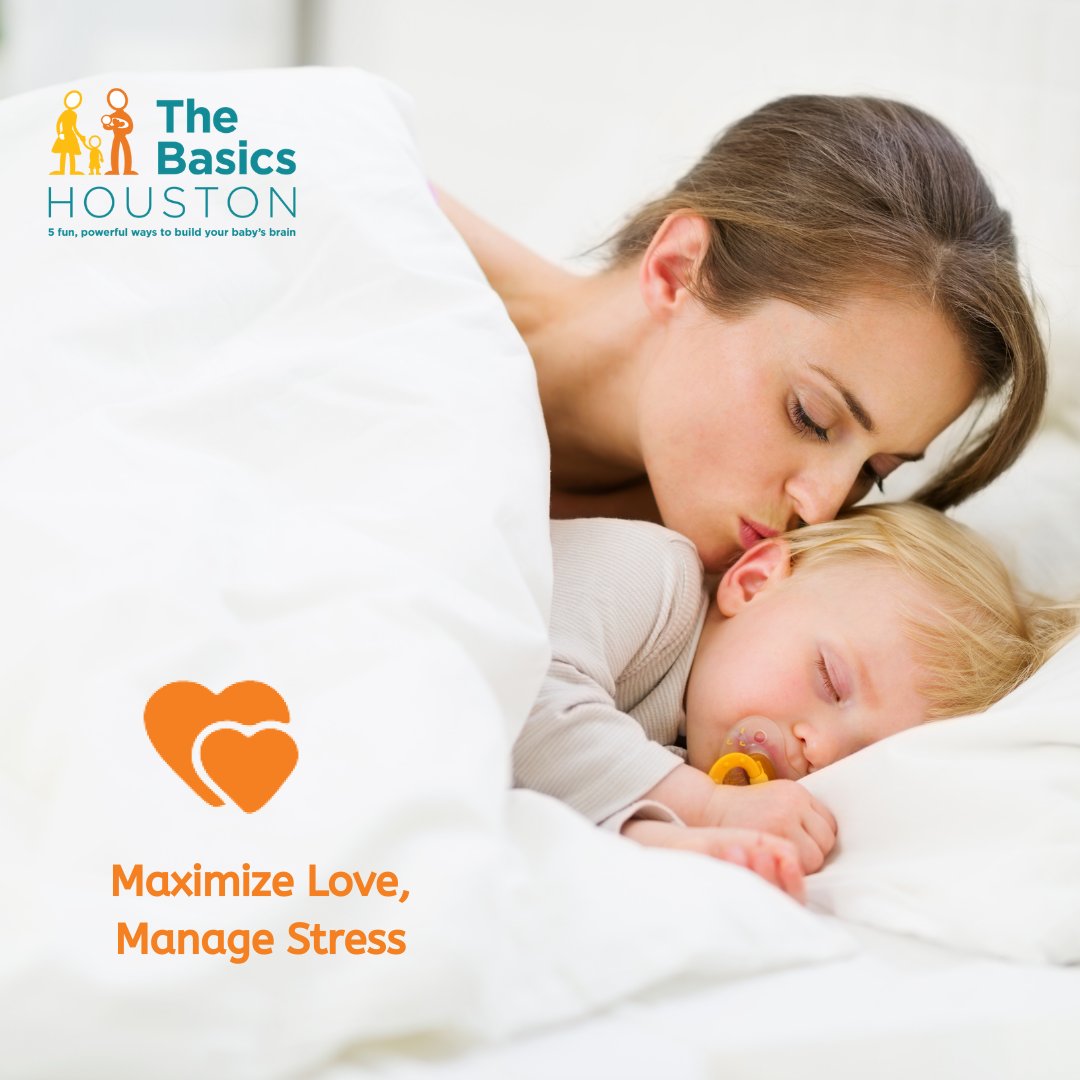 The Basics Houston tweet media