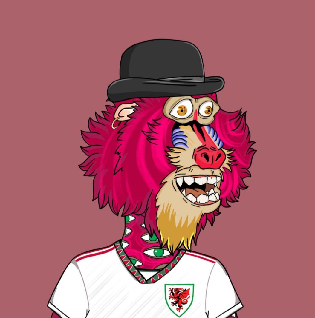 Apefootballcup's tweet image. Free NFT collection on the ETH network with a Football World Cup theme!

@Apefootballcup