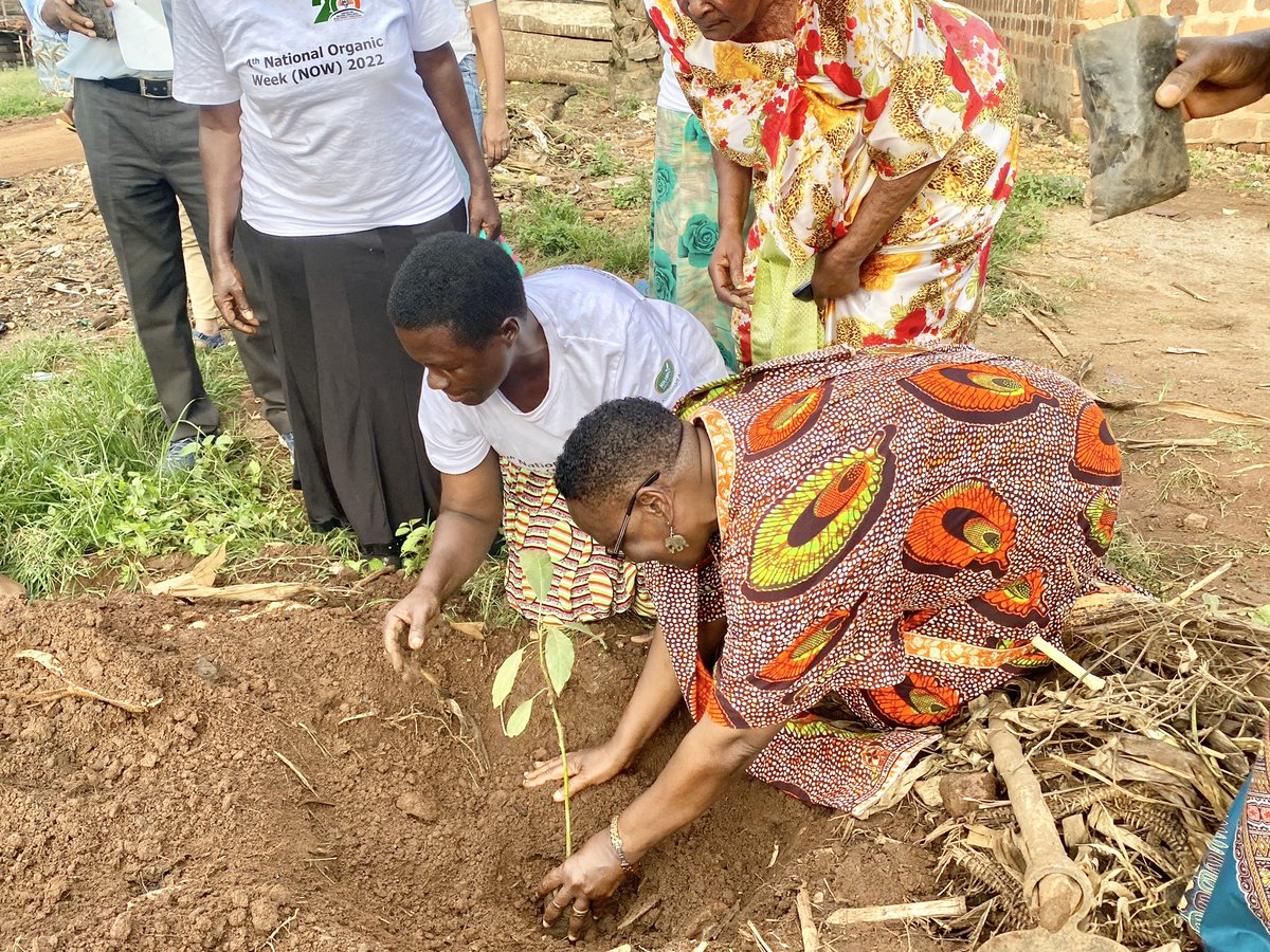 ESAFF Uganda tweet media