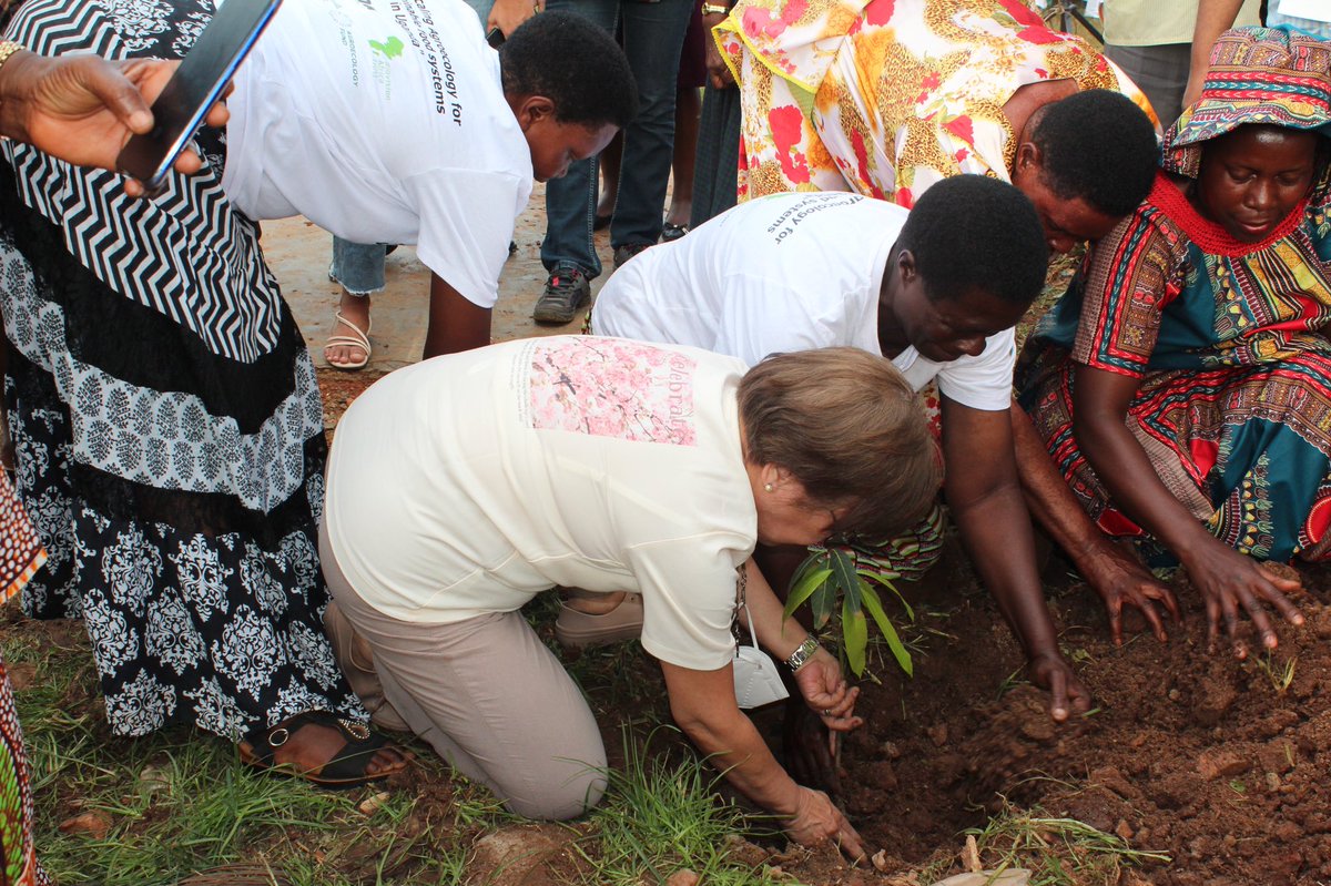 ESAFF Uganda tweet media