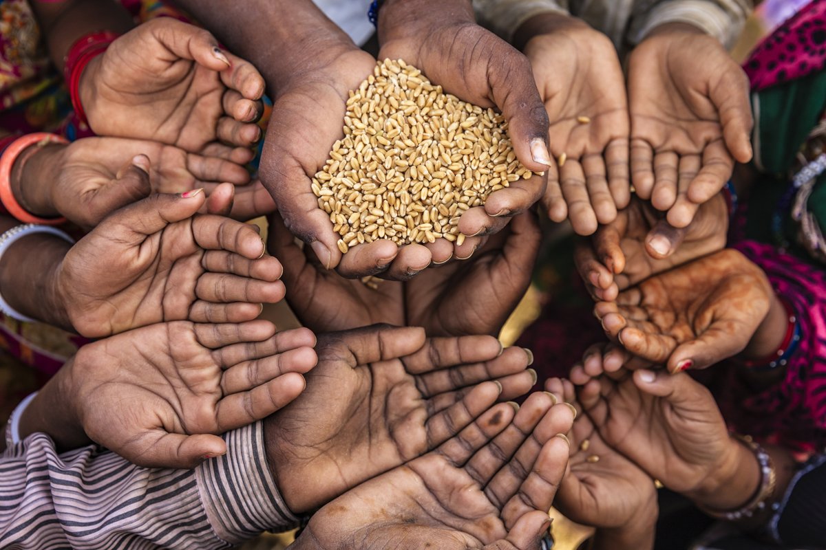 Addressing Role of Climate Change in Food Insecurity <a href="/ThrivingSoluti1/">Thriving Solutions</a> <a href="/BlueFoodFutures/">Blue Food Futures Program</a> <a href="/AstraeaInc/">Astraea</a> <a href="/SYSTEMIQ_Ltd/">Systemiq</a> <a href="/FoodrootsE/">Foodroots.earth</a> #FoodInsecurity #Earth #EarthDomain  go.earth/FoodInsecurity