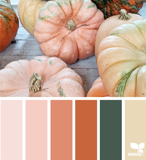 TMennone's tweet image. Autumn color palette? Yes, please! These Autumn tones are giving me all of the warm blanket and hot soup vibes. Where would you use these colors in your house? Would you use them as a pop of color or a bold statement wall?

#ColorInspo #FallinKWNE #DesignSeeds #KWNE