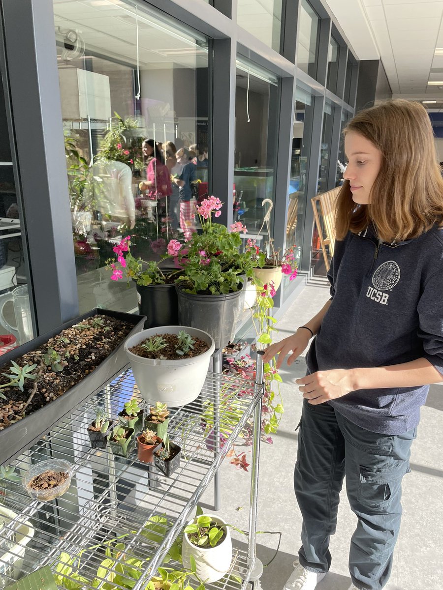 Carey Pollack tweet media