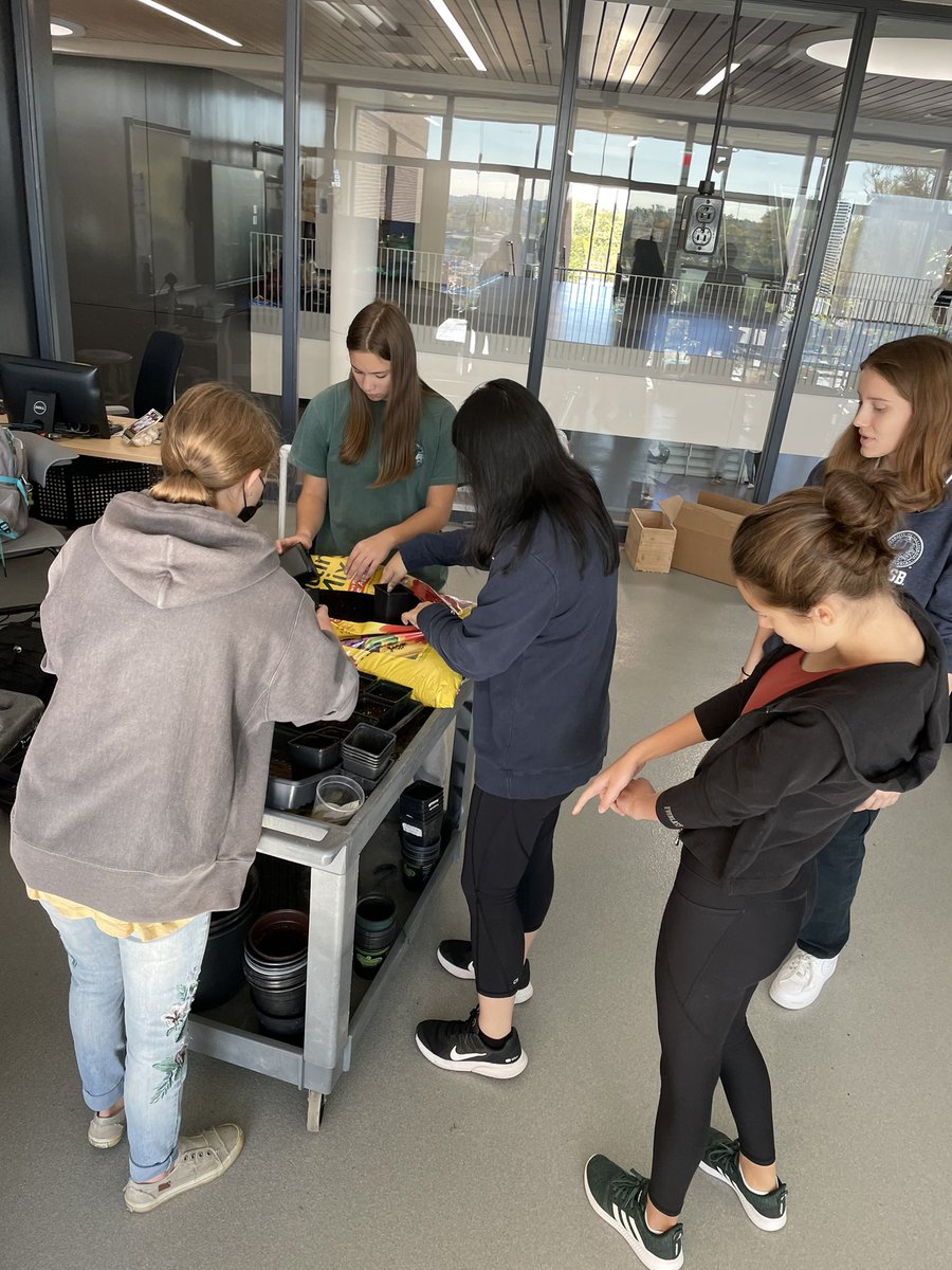 Carey Pollack tweet media