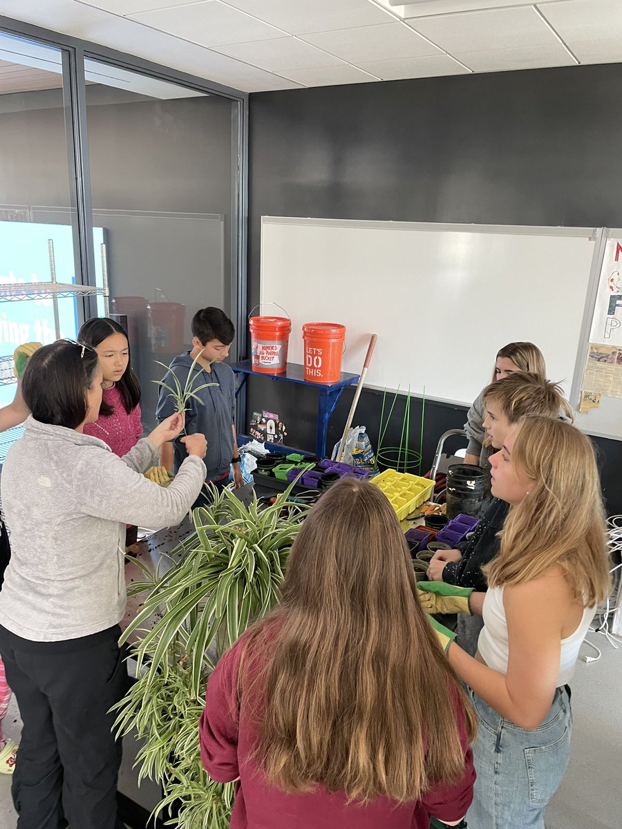 Carey Pollack tweet media