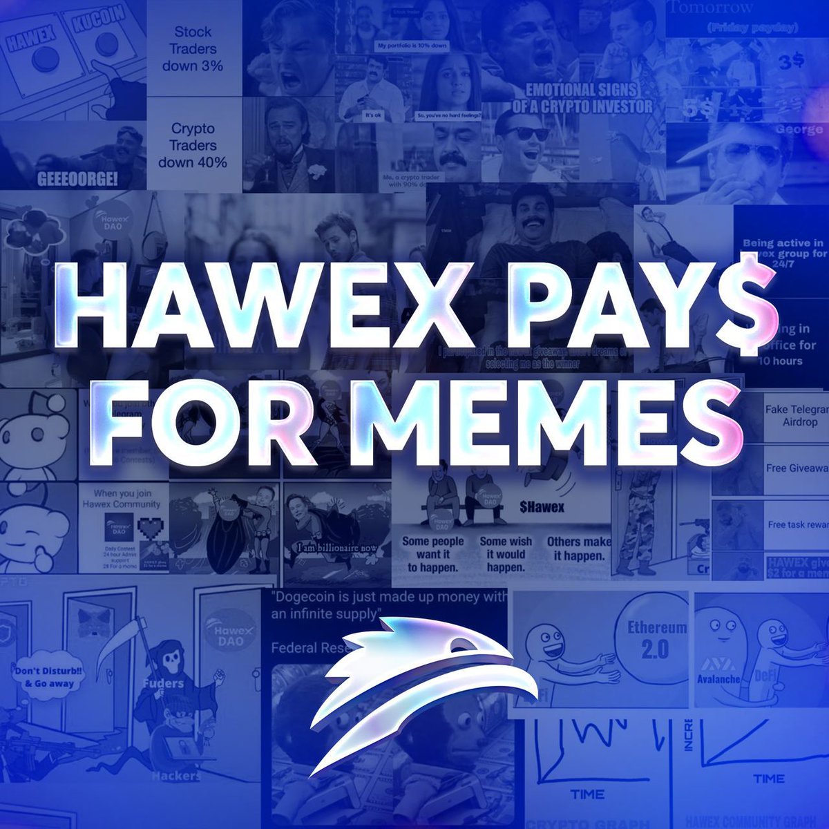 Hawex tweet media