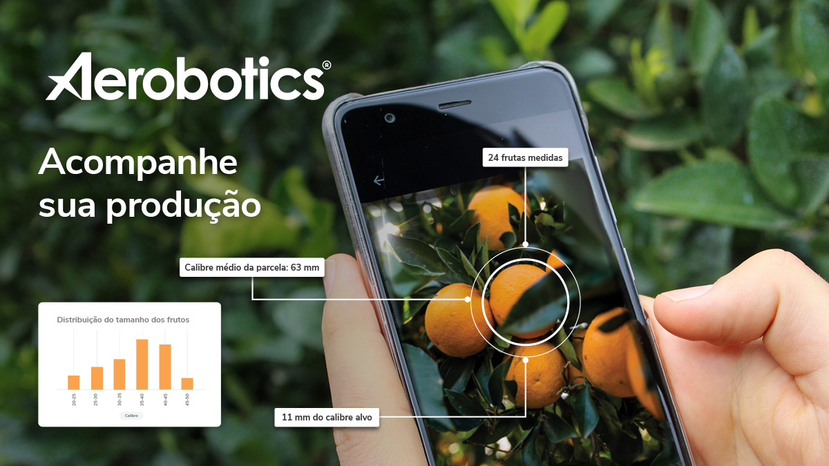 Voz_do_Campo's tweet photo. Maximize os seus rendimentos com dados agrícolas atendendo às suas necessidades e uma equipa de agrónomos dedicada a ajudar a medir e otimizar a sua colheita.

Saiba mais em: https://t.co/bIfwNzfLWW

#vozdocampo #aerobotics #agricultura #produção #colheitas #Inovação https://t.co/SWBOKAdCOu