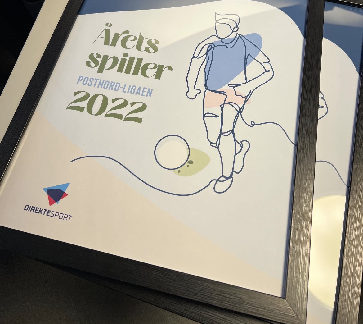 Vi har fulgt hvert spark på ballen i PostNord-ligaen. Vi har sirlig notert oss de tre beste spillerne i hver kamp. Lørdag kårer vi de beste av de beste. Fra keeper til angrep. <a href="/PostNord_ligaen/">PostNord-ligaen</a> <a href="/nff_info/">NorgesFotballforbund</a> <a href="/NettavisenSport/">Nettavisen Sport</a>