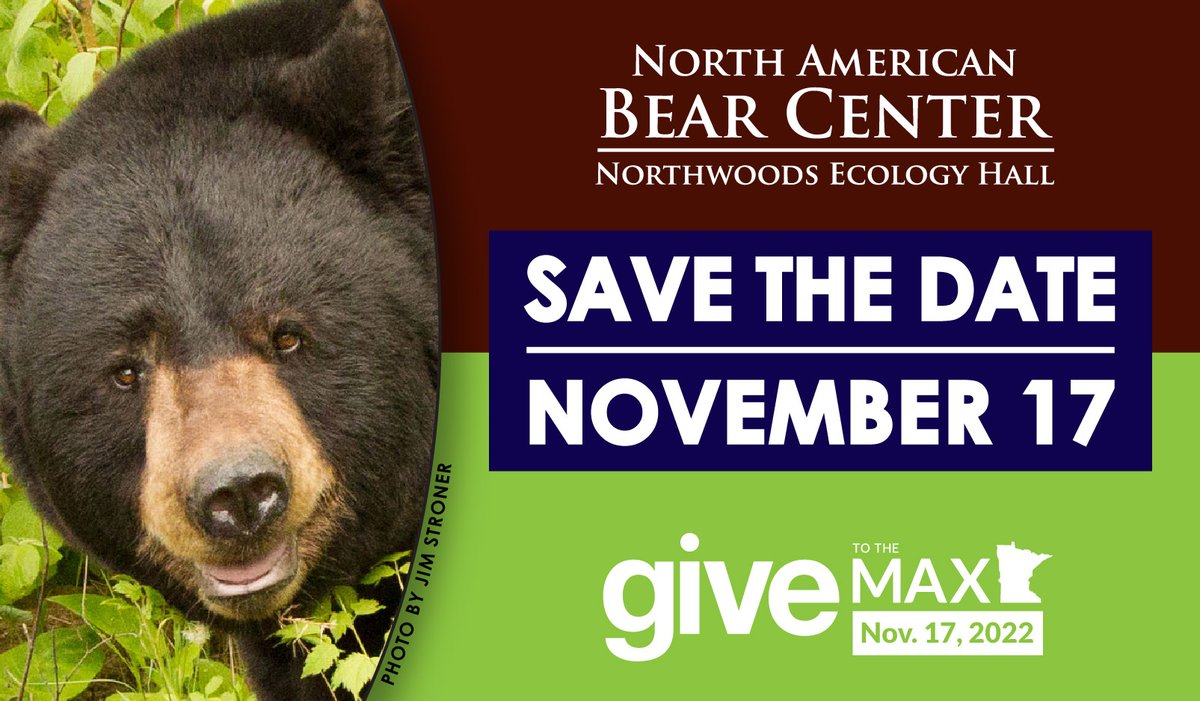 North American Bear Center tweet media