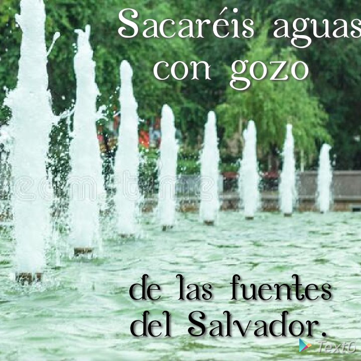 alexohernandez's tweet photo. Salmo responsorial. https://t.co/dBdPY2K7VA
