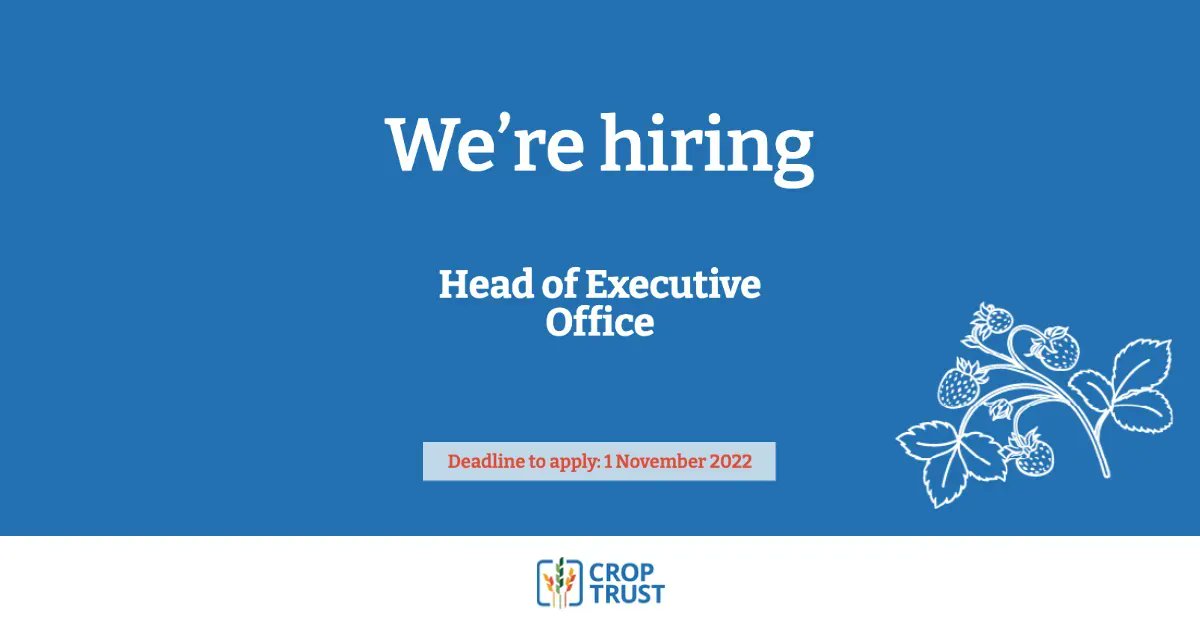 We are #hiring! The Crop Trust seeks an outstanding candidate for the Head of Executive Office position. The candidate will assume primary responsibility for the Trust’s managerial, governance and administrative undertakings. Learn more & apply 👉 buff.ly/3CHMhq9