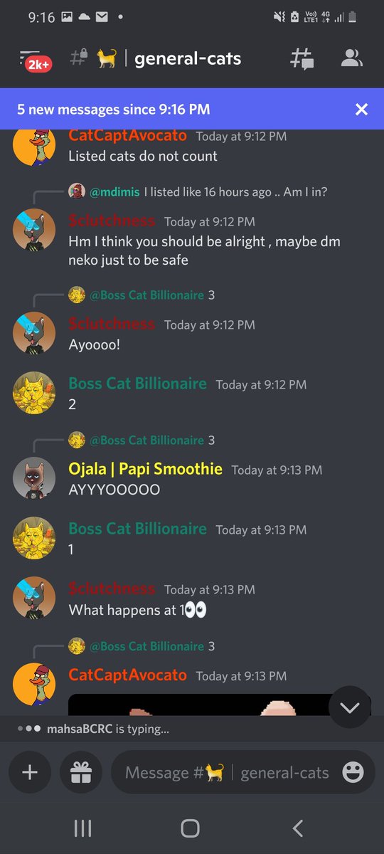 What is @BCatBillionaire about to do on <a href="/BossCatRC/">Boss Cat Rocket Club</a>