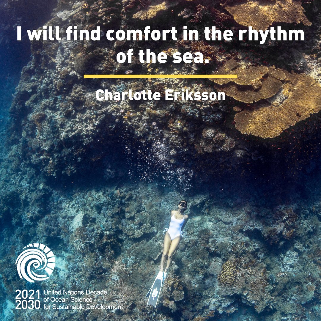 #WednesdayWisdom 💫 Acknowledging the invaluable contributions of the #ocean to our lives, let’s work together at #COP27.🤩We’re beyond thrilled to be part of the Ocean Pavilion & the Ocean x Climate Summit.🌊Join us too 📲 bit.ly/3gkdGa4 #OceanDecade