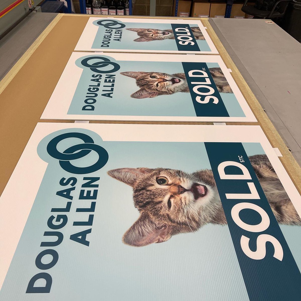 KremerSignsUK's tweet photo. Happy Hump Day Everyone! 🐫
It’s been a busy start to the week so far, with agents looking to stock up or rebrand their boards ready for the new year!! 😍
📞 01635 550022
📧 tom@kremersigns.co.uk
🖥 https://t.co/hgykYu9WlV
#KremerSigns #KremerBoards #ForSaleBoards #Boards https://t.co/NF6KdxUh9X