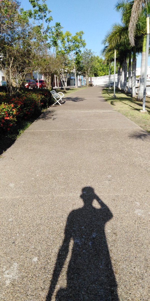megapopmx's tweet photo. Tampico una de las ciudades donde la percepción de inseguridad es menor, y puedes disfrutar de nuestros bellos sitios turísticos.

📸 Paseo Laguna del Carpintero #Tampico https://t.co/8VjL1w34hu