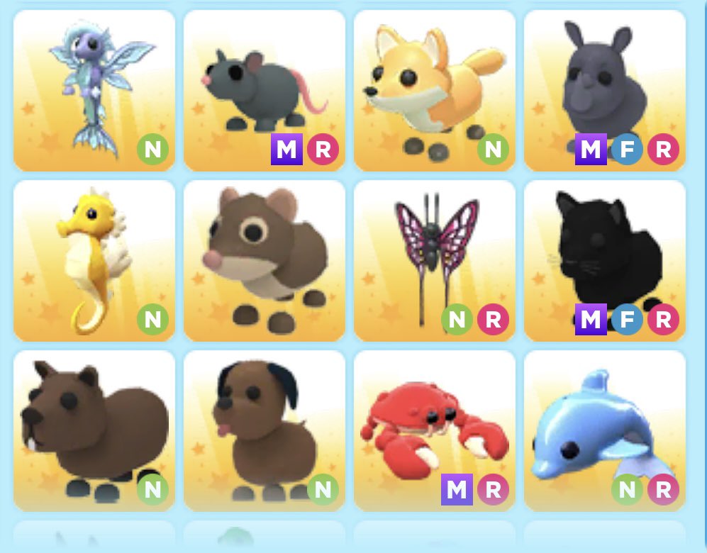 DylanAintCringe's tweet photo. 🦔 5 neon pet giveaway 🦉
5 winners! 😁
Rules are❗️
Follow:
@CoffeeOnMars_ &amp; @remdreamerr
Like this post ✉️
Retweet it 🌀
Comment ✅ (optional)
Tag a friend or two 🔆
That’s all ❤️
Gl everyone :) https://t.co/2pF7Q4Ngoi