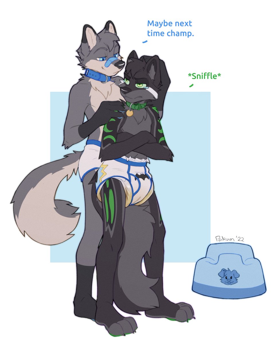foxehhyz's tweet photo. Despite his best efforts insisting he was big enough to wear undies, @Padded_Wolf just couldn't seem to make it to the training potty in time... Real shame too! He was *so* close!

Thankfully I'm here as his bigger friend to help cheer him up afterwards and rub his headfur. 💙 https://t.co/oxvw4X2mom