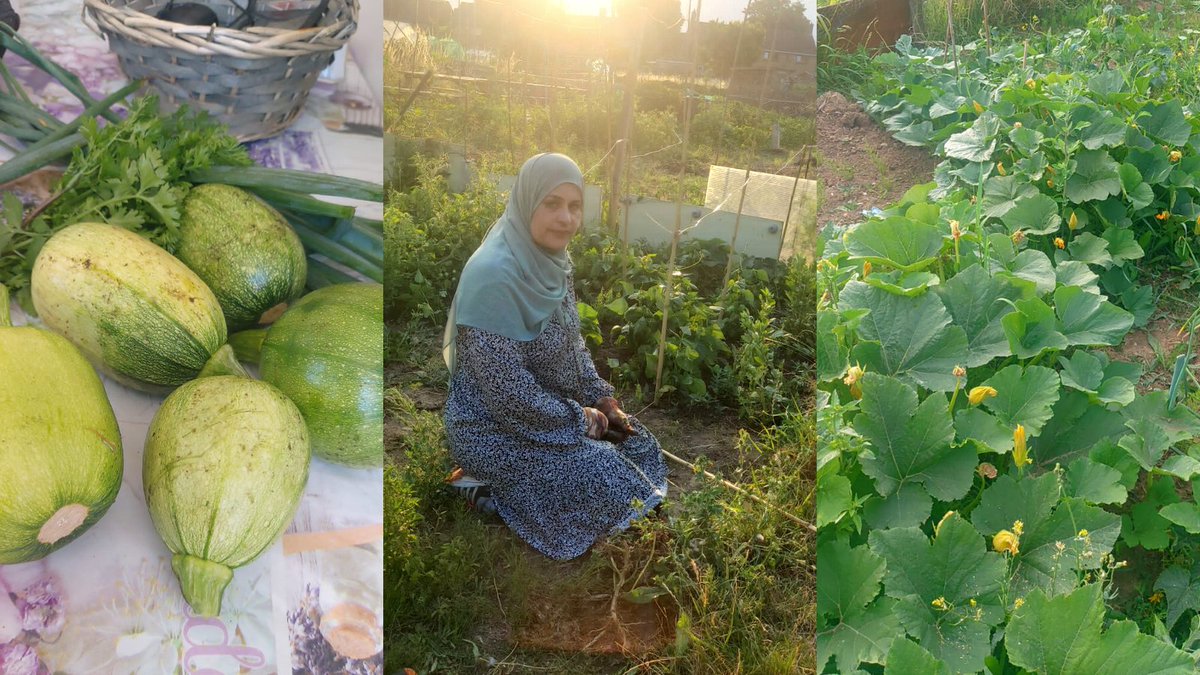 “It takes me back to my life in Syria as I grew lots of our own food.” We're supporting Maysoun and 46 other #refugees with their transition to life in the UK. See how an #allotment has helped them to settle in, by reading our #ESG report: bit.ly/3exMfsH #WorldFoodDay