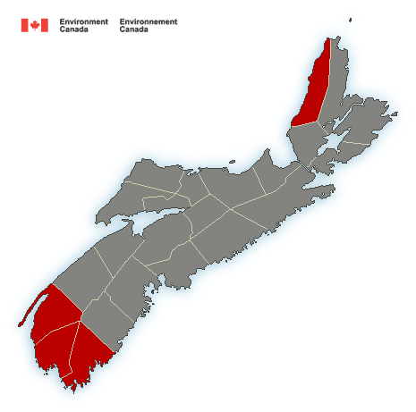 HfxMda's tweet image. (Weather) Special weather statement in effect  #hfxtraffic

** Release

waterfrontmediahfx.the902hxir.ca/40566-2