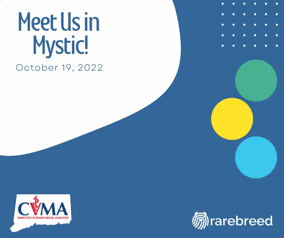 RarebreedVets's tweet photo. We're here at the CVMA (Connecticut Veterinary Medical Association) annual meeting in beautiful Mystic, Connecticut. Come on by to say Hi, hear what we've been up to, and, of course, grab some Rarebreed swag!
#rarebreedvets https://t.co/DNI4nbNIaI
