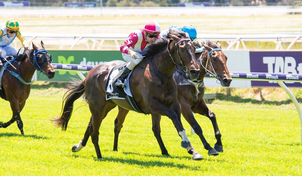 Durrant_Racing's tweet photo. 🏆 DURRANT RACING WINNER
RARE ENCOUNTER [#AlMaher X Miss Encounter]

📷 @WesternRacepix https://t.co/HYpDbGdFj9
