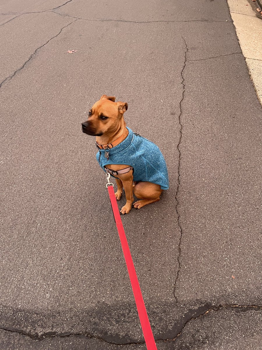 Hamilton tweet media