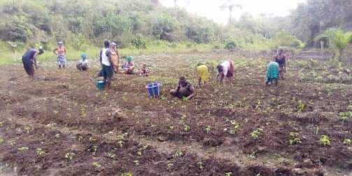 Foundation for Rural and Urban Transformation tweet media