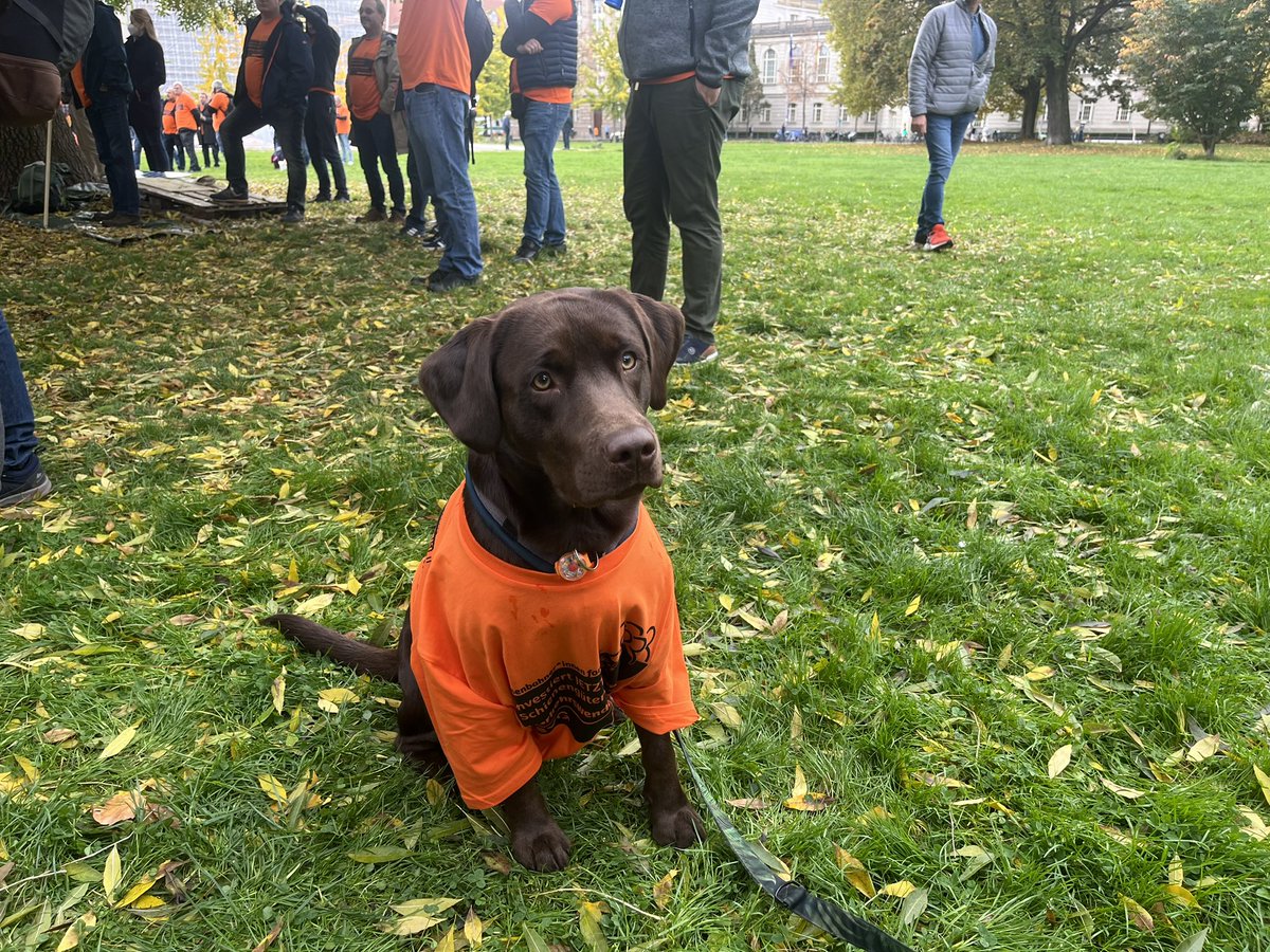 DeineEVG's tweet photo. Mensch und Maus, Hund und Katz, alle da, um heute vor dem @bmdv gegen die Kürzungen im Einzelwagenverkehr zu demonstrieren. „Heute sind wir alle #Cargo“, so @BurkertMartin zu Beginn. @DB_Cargo https://t.co/7WP86llCMB